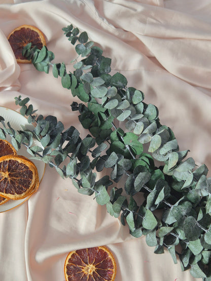 Eucalyptus Stems – Premium Dried Greenery