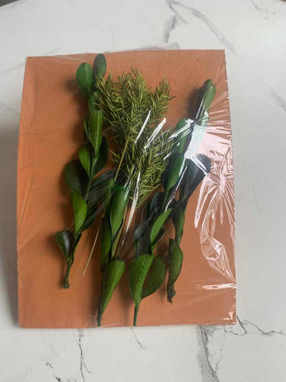 Small Pack – Dried Leaf Combo | Natural Leaves for Crafts & Décor