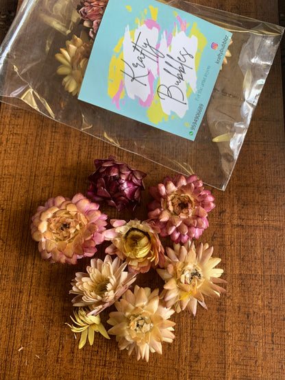Straw Flowers