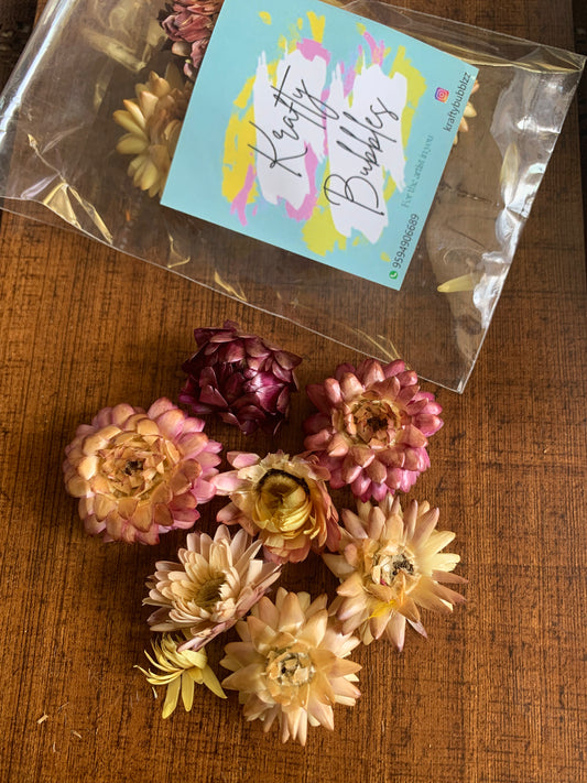 Straw Flowers