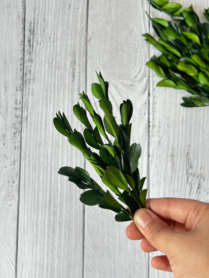 Botanical Bloom - Naturally Dried Leaves for Crafts, Décor & Floral Styling