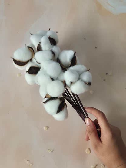 White Cotton Balls - Premium quality Stems